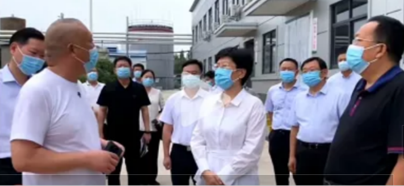 焦作市委書記葛巧紅一行蒞臨旭瑞集團參觀調(diào)研！